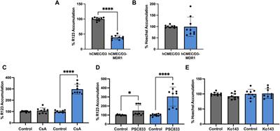 Induction of P-glycoprotein overexpression in brain endothelial cells as a model to study blood-brain barrier efflux transport